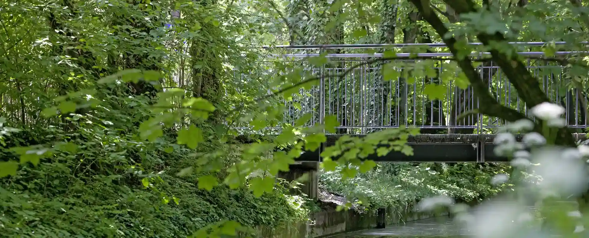 Brücke über den Westermühlbach im Sommer